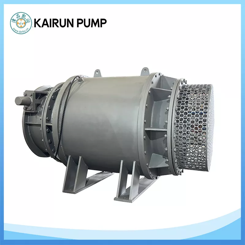 Apa sing Ndadekake Pilihan Pompa Tubular Dadi Kritis kanggo Proyek Banyu Aliran Dhuwur?