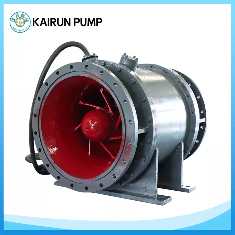 Pompa Sluice Gate Axial Flow Nduwe Perhatian Nalika Kutha Nganyarke Sistem Kontrol Banjir lan Drainase
