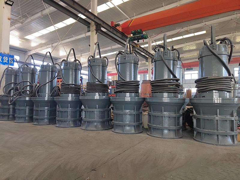 Submersible Axial Flow Pump